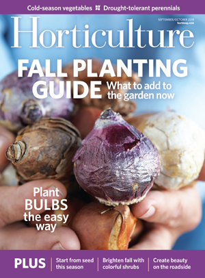 Horticulture magazine Fall Planting Guide cover shot of bulbs.